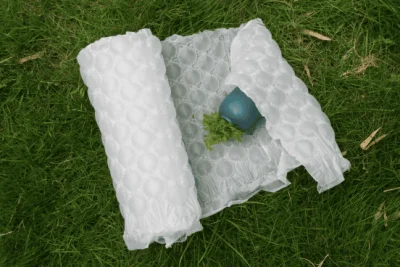 Sample of Bubble Film Manufacturing Machine
