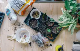 Application du Film Étirable au Liaison des Plantes – Solution d’Emballage Professionnelle