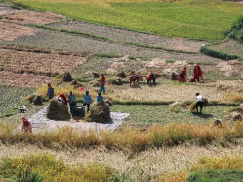 Applications of Stretch Film Manufacturing Machines in Agriculture