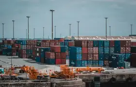 L'application de la Ligne de production de film étirable entièrement automatique dans l'emballage d'exportation