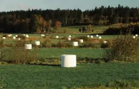 Application de la Ligne de production de film étirable dans l’ensilage agricole