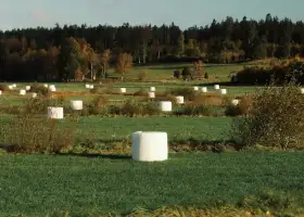 Aplicação da Linha de produção de filme stretch na silagem agrícola