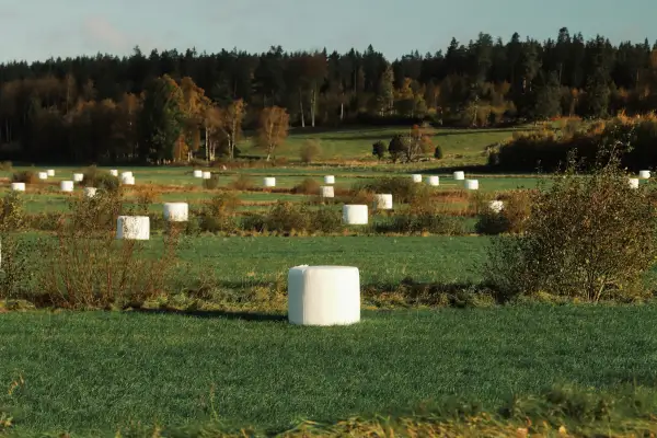 Aplicação da Linha de produção de filme stretch na silagem agrícola