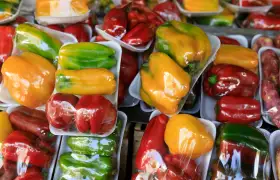 Línea de Producción de Plástico Burbuja para Frutas y Verduras: Protección Sostenible con PBAT Biodegradable
