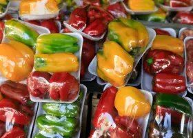 Línea de Producción de Plástico Burbuja para Frutas y Verduras: Protección Sostenible con PBAT Biodegradable