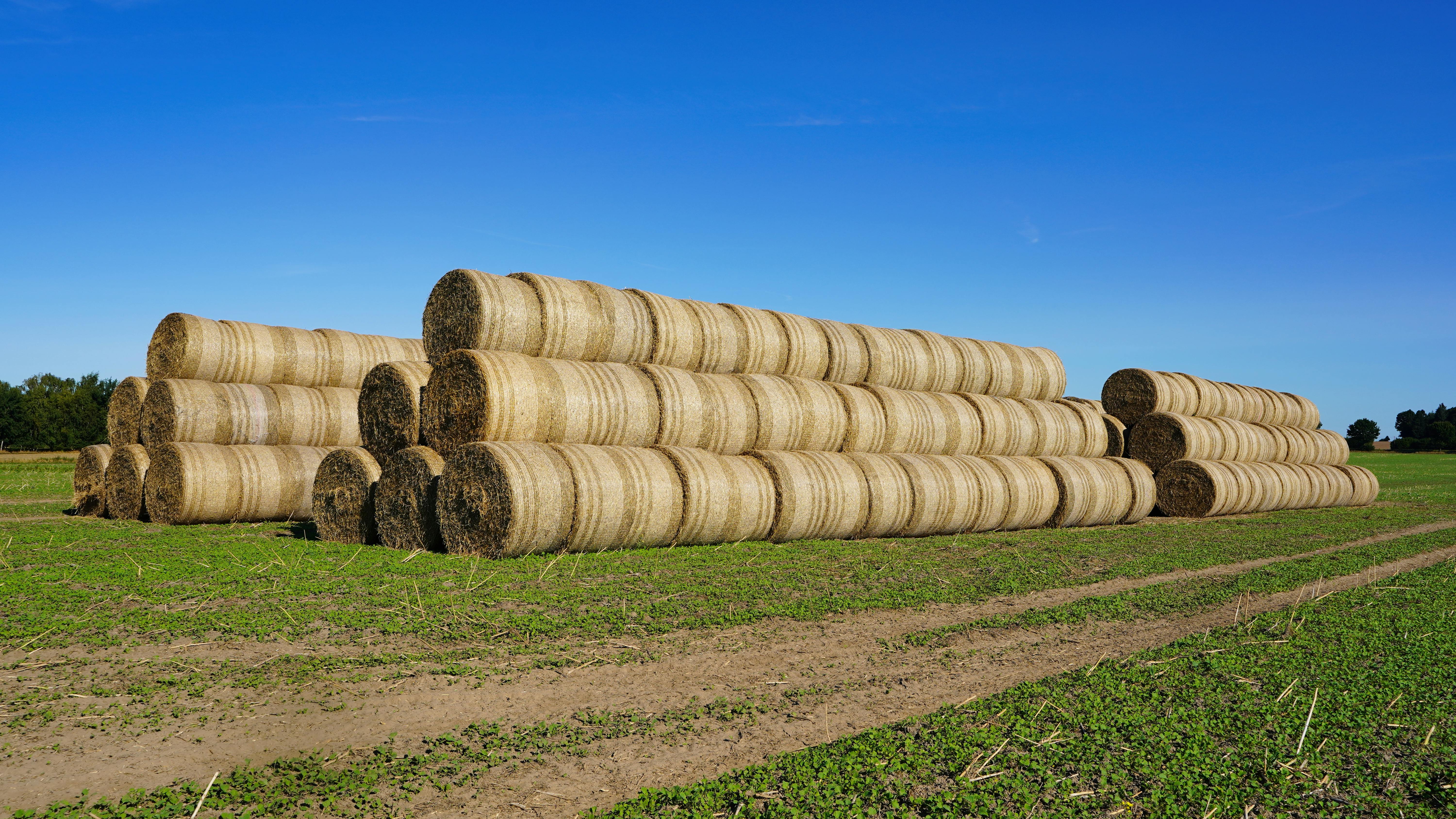 Application of 2-Layer Stretch Film Manufacturing Machine in Bale Wrapping