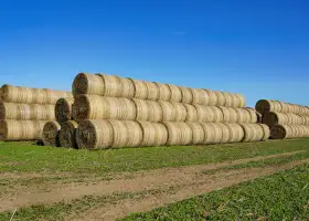 Aplicação da Linha de produção de filme stretch no empacotamento de fardos