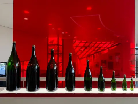 Meilleure Ligne de production de film à bulles pour l'Emballage du Vin