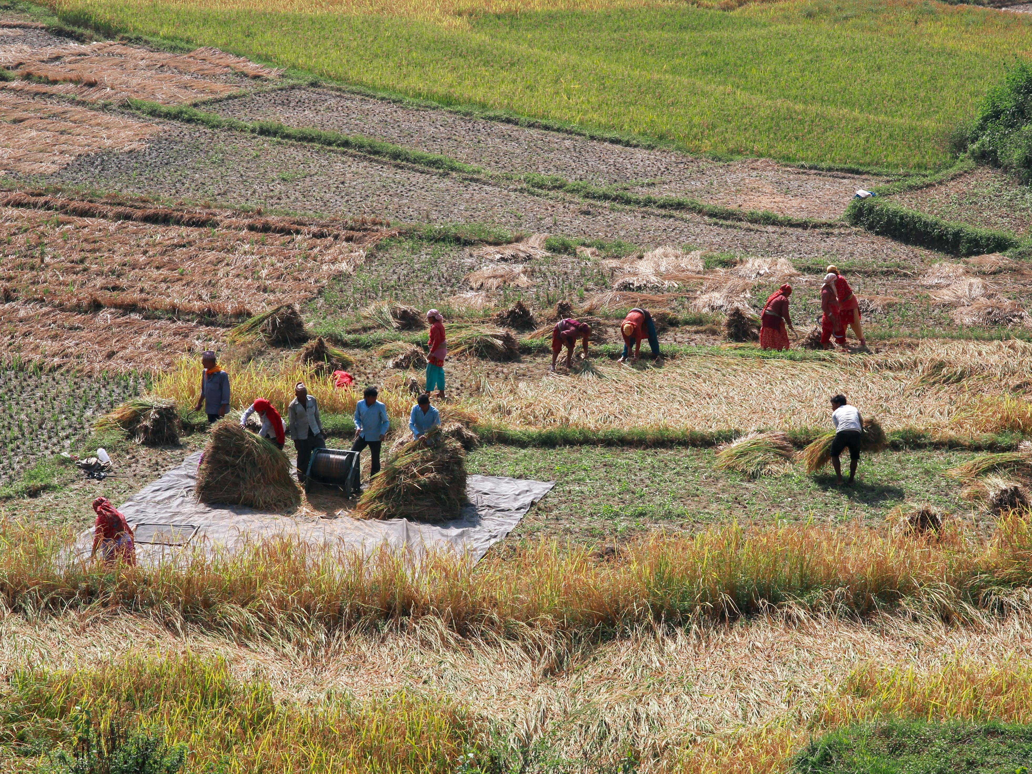 Applications of Stretch Film Manufacturing Machines in Agriculture