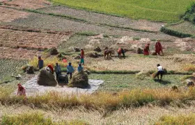 Applications of Stretch Film Manufacturing Machines in Agriculture